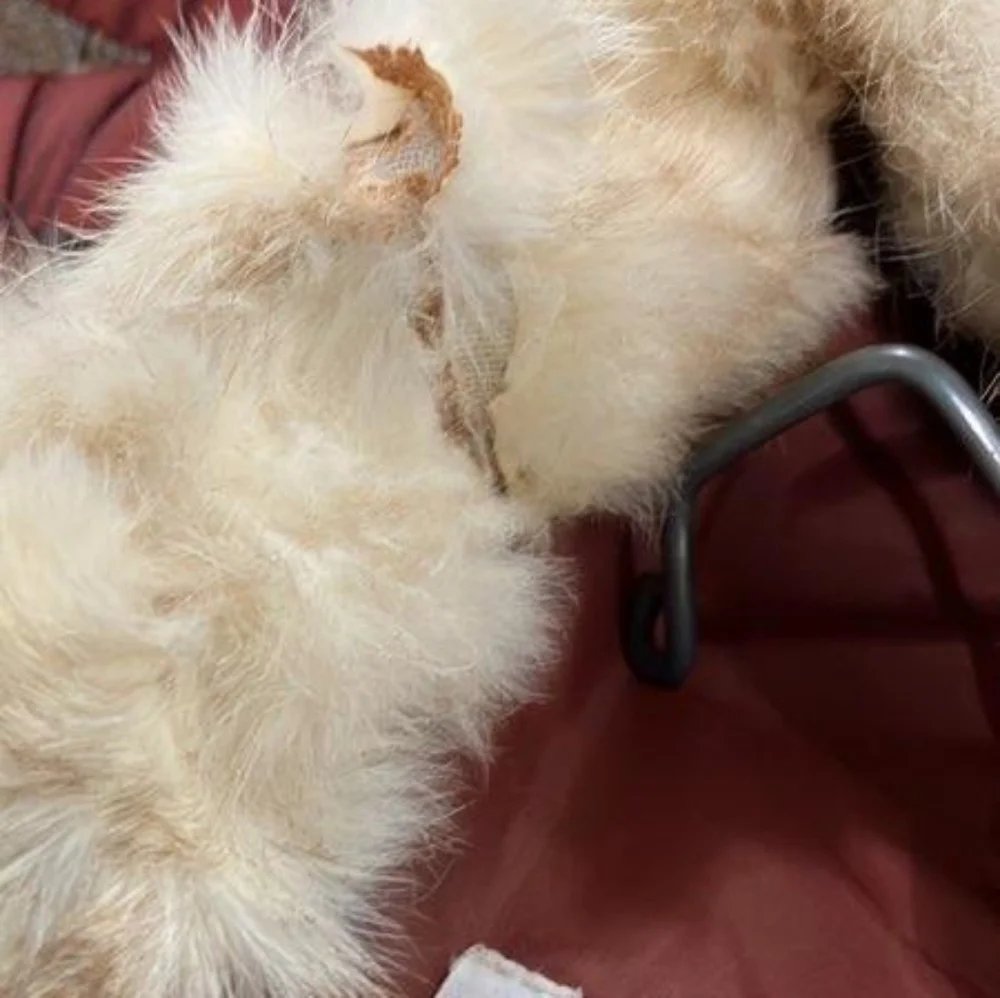 Made Korea Rabbit Fur - Picture 11 of 11